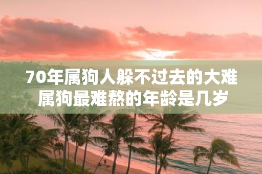 70年属狗人躲不过去的大难 属狗最难熬的年龄是几岁