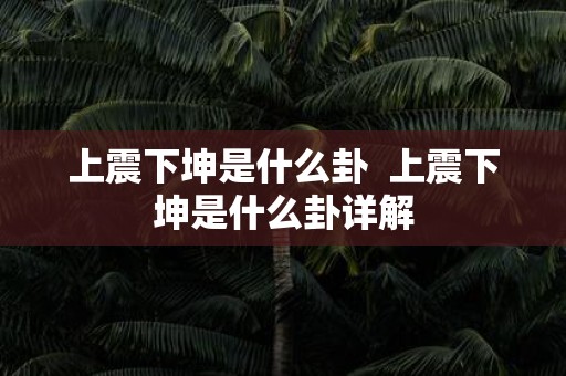 上震下坤是什么卦 上震下坤是什么卦详解