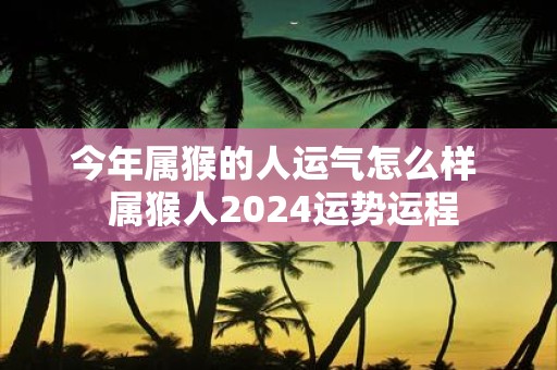 今年属猴的人运气怎么样 属猴人2025运势运程