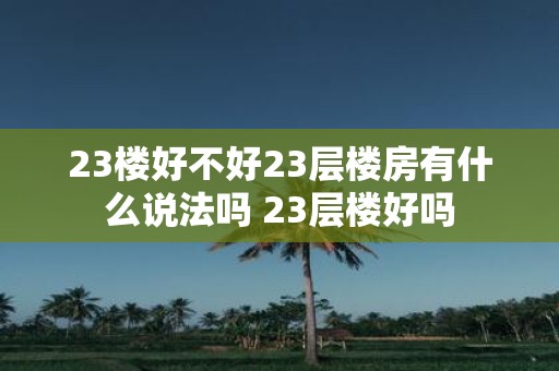 23楼好不好23层楼房有什么说法吗 23层楼好吗