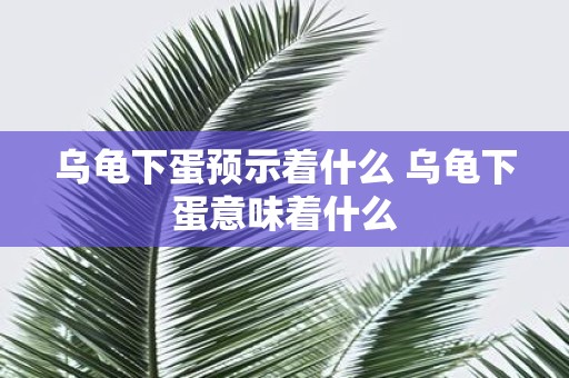 乌龟下蛋预示着什么 乌龟下蛋意味着什么