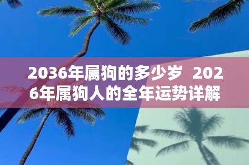 2036年属狗的多少岁 2026年属狗人的全年运势详解