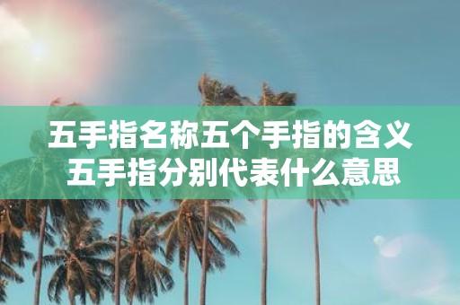 五手指名称五个手指的含义 五手指分别代表什么意思