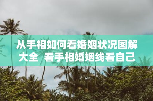 从手相如何看婚姻状况图解大全 看手相婚姻线看自己会有几段婚姻