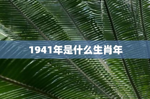 1941年是什么生肖年