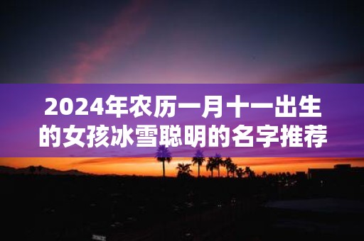 2025年农历一月十一出生的女孩冰雪聪明的名字推荐