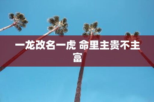 一龙改名一虎 命里主贵不主富