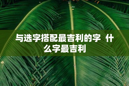 与选字搭配最吉利的字 什么字最吉利