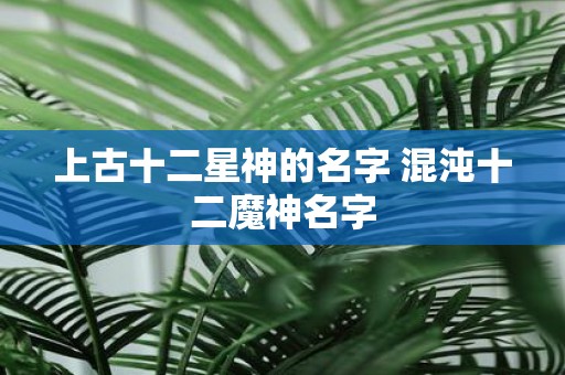 上古十二星神的名字 混沌十二魔神名字