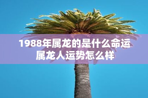 1988年属龙的是什么命运 属龙人运势怎么样