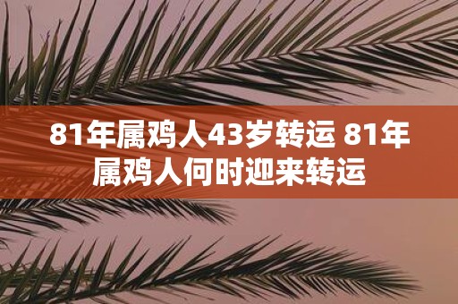 81年属鸡人43岁转运 81年属鸡人何时迎来转运