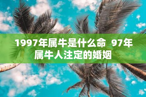 1997年属牛是什么命 97年属牛人注定的婚姻