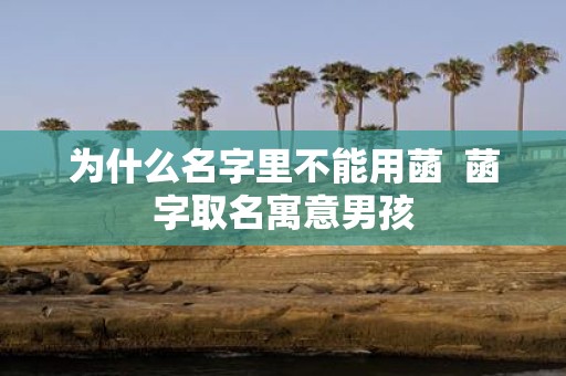 为什么名字里不能用菡 菡字取名寓意男孩