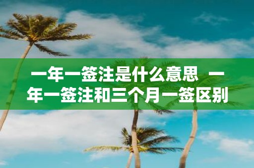 一年一签注是什么意思 一年一签注和三个月一签区别