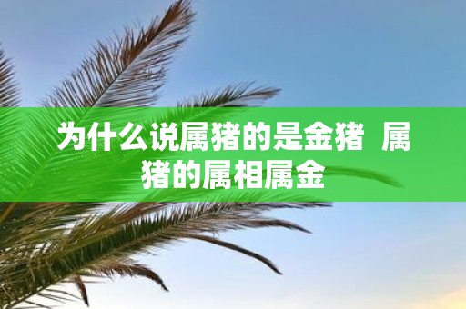 为什么说属猪的是金猪 属猪的属相属金