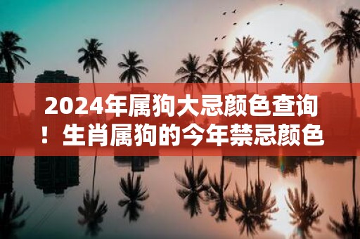 2025年属狗大忌颜色查询！生肖属狗的今年禁忌颜色是什么