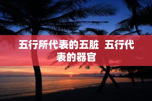 五行所代表的五脏  五行代表的器官
