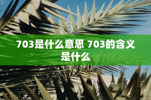 703是什么意思 703的含义是什么