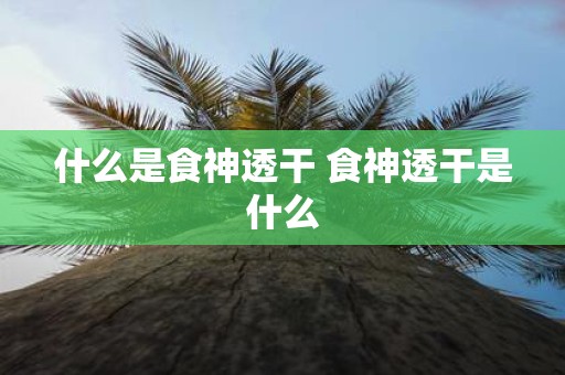 什么是食神透干 食神透干是什么