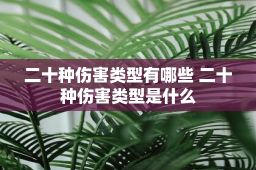 二十种伤害类型有哪些 二十种伤害类型是什么