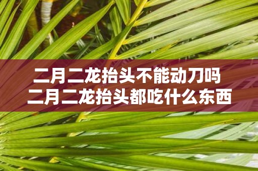 二月二龙抬头不能动刀吗 二月二龙抬头都吃什么东西