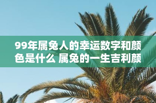99年属兔人的幸运数字和颜色是什么 属兔的一生吉利颜色