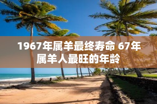 1967年属羊最终寿命 67年属羊人最旺的年龄