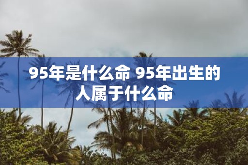 95年是什么命 95年出生的人属于什么命