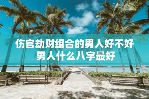 伤官劫财组合的男人好不好 男人什么八字最好