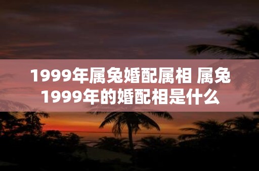 1999年属兔婚配属相 属兔1999年的婚配相是什么