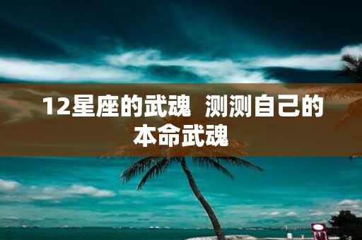 12星座的武魂 测测自己的本命武魂