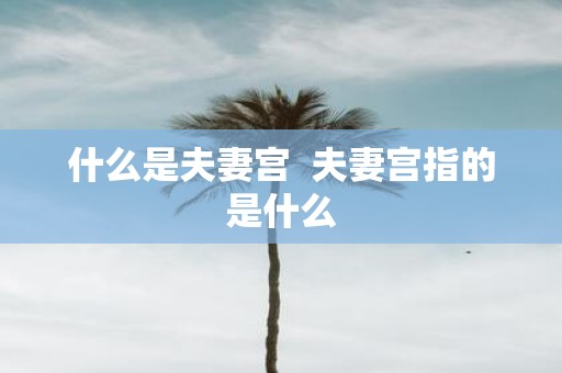 什么是夫妻宫 夫妻宫指的是什么