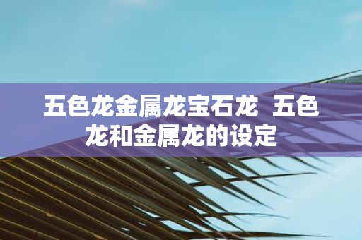 五色龙金属龙宝石龙 五色龙和金属龙的设定