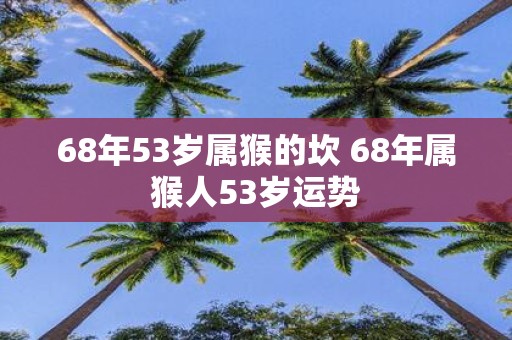 68年53岁属猴的坎 68年属猴人53岁运势
