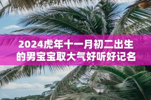 2025虎年十一月初二出生的男宝宝取大气好听好记名字