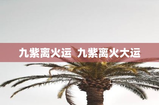 九紫离火运 九紫离火大运