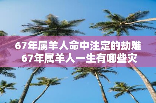 67年属羊人命中注定的劫难 67年属羊人一生有哪些灾