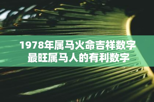 1978年属马火命吉祥数字 最旺属马人的有利数字