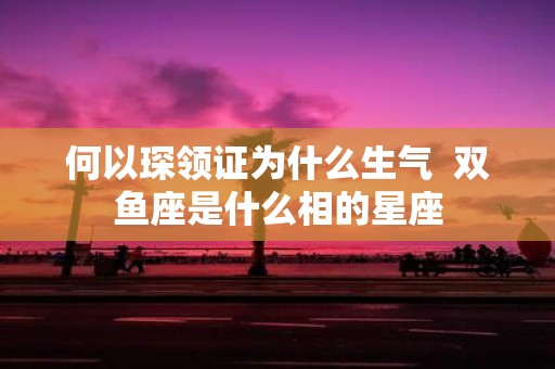 何以琛领证为什么生气 双鱼座是什么相的星座