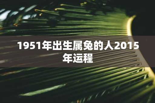 1951年出生属兔的人2015年运程