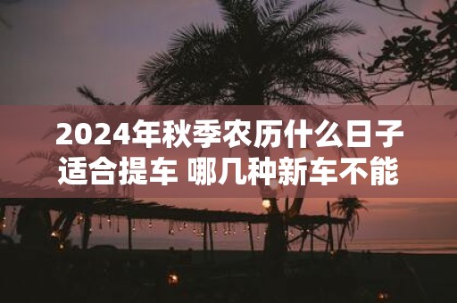 2025年秋季农历什么日子适合提车 哪几种新车不能买