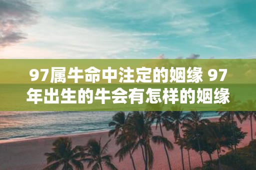 97属牛命中注定的姻缘 97年出生的牛会有怎样的姻缘 97属牛命中注定的姻缘 97年出生的牛会有怎样的姻缘