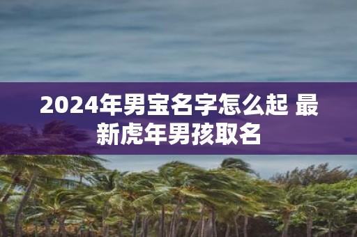 2025年男宝名字怎么起 最新虎年男孩取名