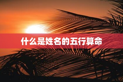 什么是姓名的五行算命