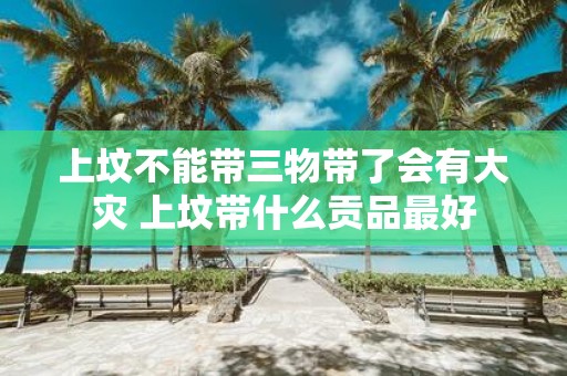 上坟不能带三物带了会有大灾 上坟带什么贡品最好
