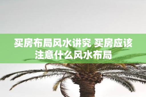 买房布局风水讲究 买房应该注意什么风水布局