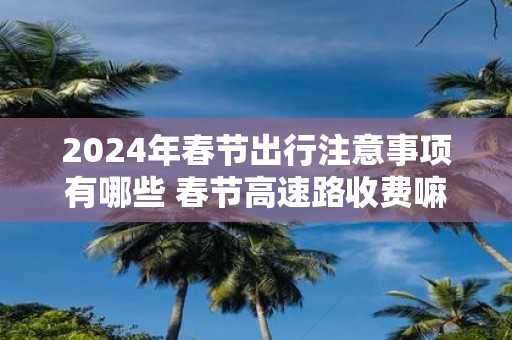 2025年春节出行注意事项有哪些 春节高速路收费嘛