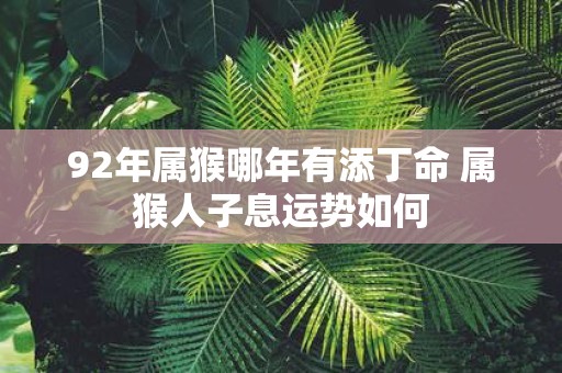 92年属猴哪年有添丁命 属猴人子息运势如何