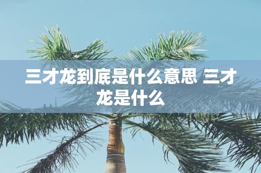 三才龙到底是什么意思 三才龙是什么
