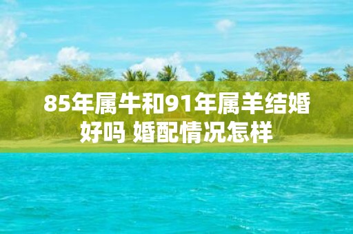 85年属牛和91年属羊结婚好吗 婚配情况怎样